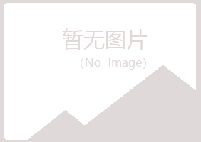 阳山县从彤冶炼有限公司